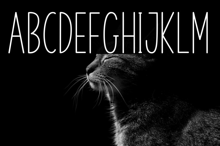 Kitchen Home Example 3