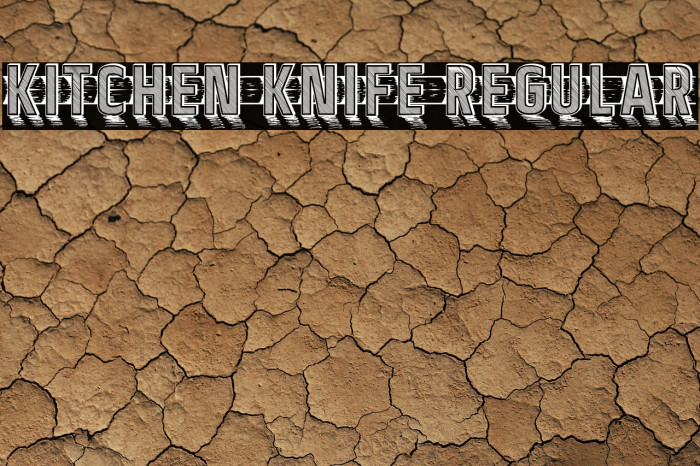 Kitchen Knife Regular Example 1