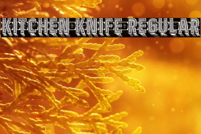 Kitchen Knife Regular Example 2