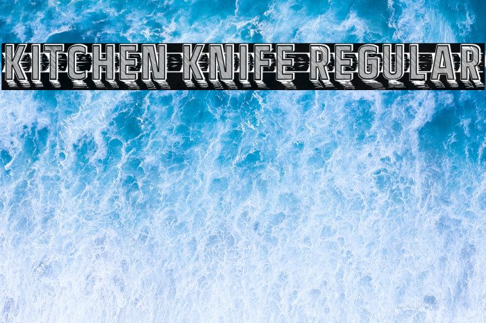 Kitchen Knife Regular Example 3