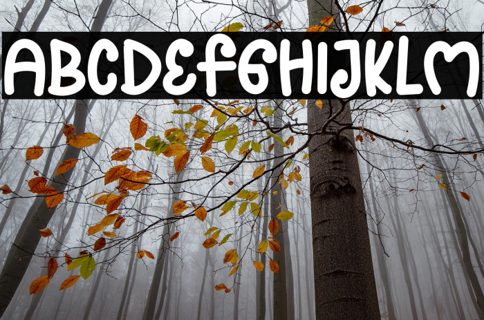 Kitchen Restaurant Example 3