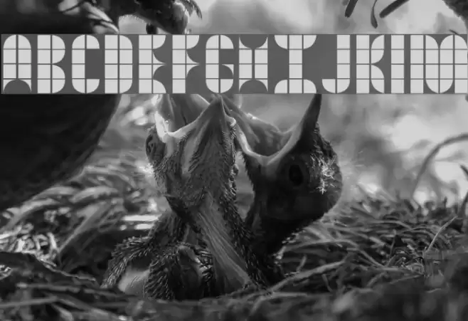 Kitchen Tiles Font examples