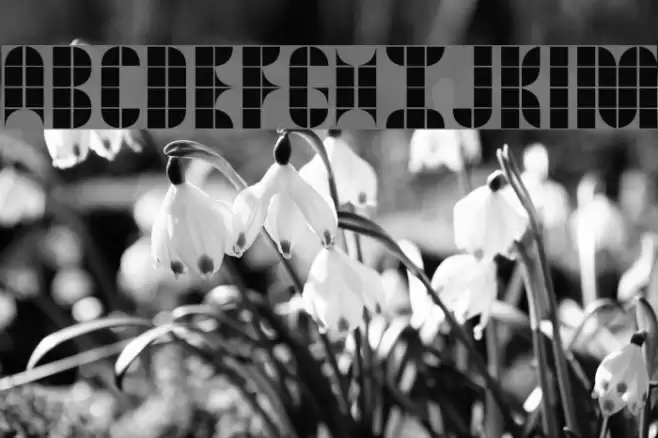 Kitchen Tiles Font examples