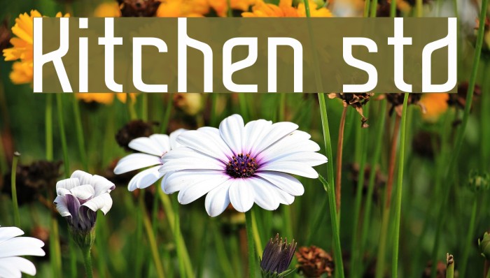 Kitchen std Font examples