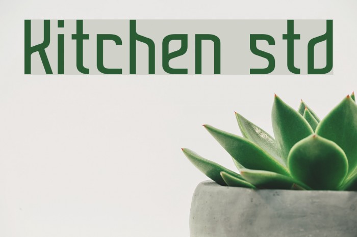 Kitchen std Font examples