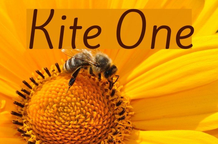 Kite One Font examples