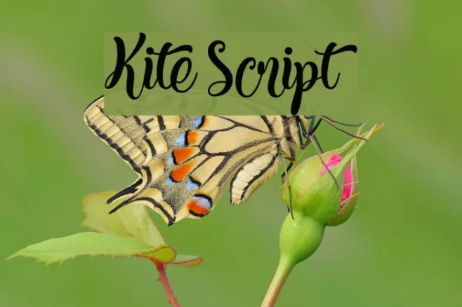 Kite Script Example 1