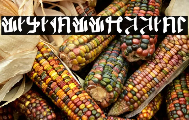 Kitisakkullian Example 1