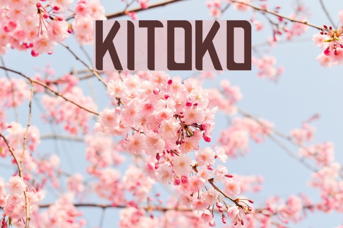 Kitoko Font examples