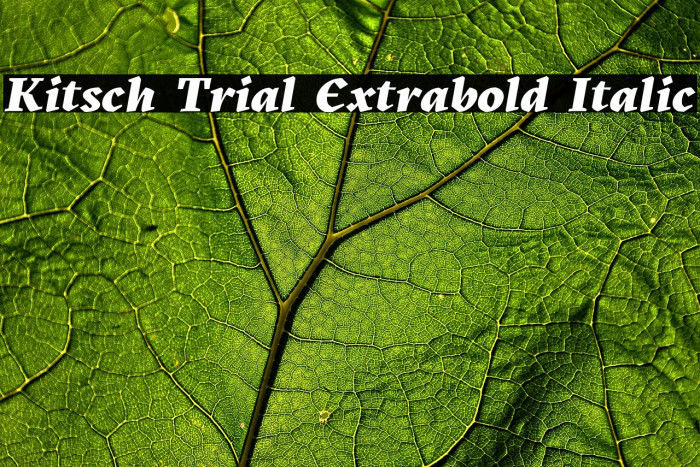 Kitsch Trial Extrabold Italic Example 1