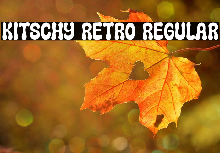 Kitschy Retro Regular Example 2