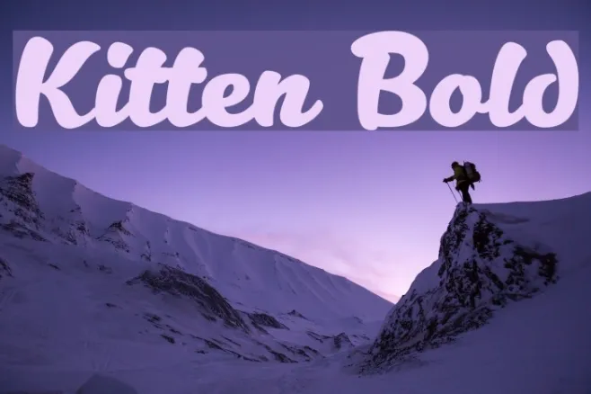 Kitten Bold Example 1