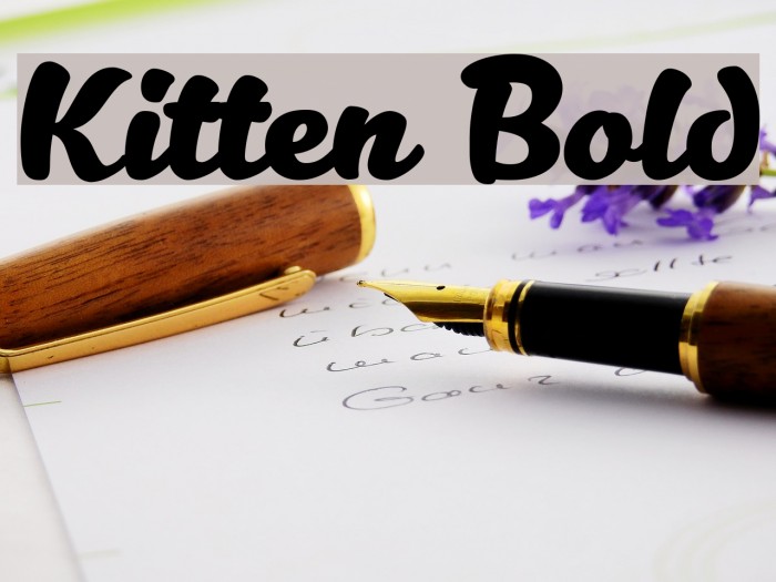 Kitten Bold Font examples