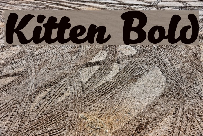 Kitten Bold Font examples