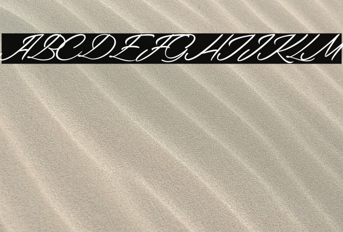 Kitten Caf Example 2