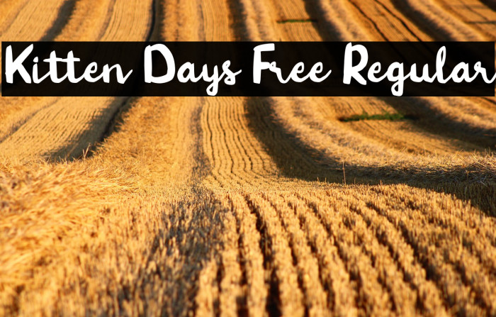 Kitten Days Free Regular Example 2