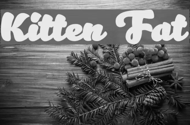 Kitten Fat Font examples