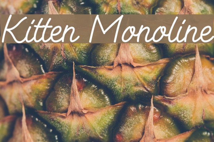 Kitten Monoline Font examples