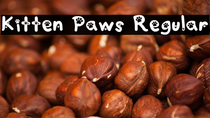 Kitten Paws Regular Example 3
