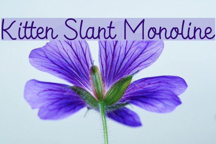 Kitten Slant Monoline Example 3