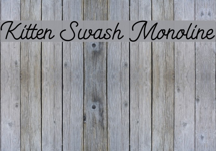 Kitten Swash Monoline Font examples