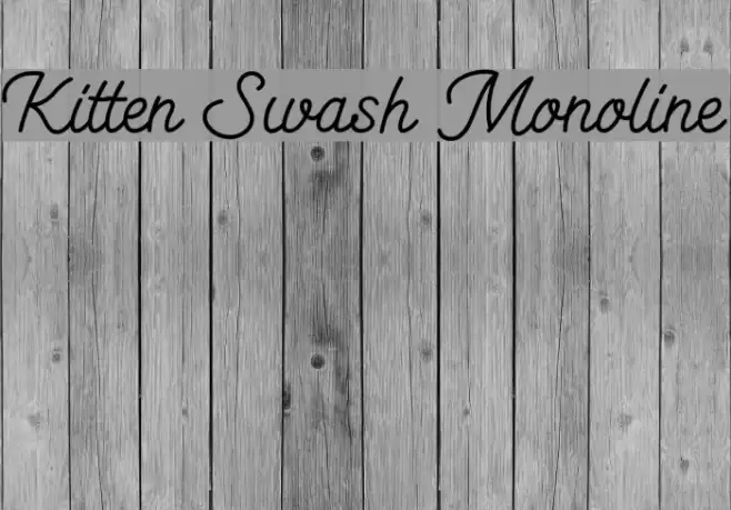 Kitten Swash Monoline Schriftart examples
