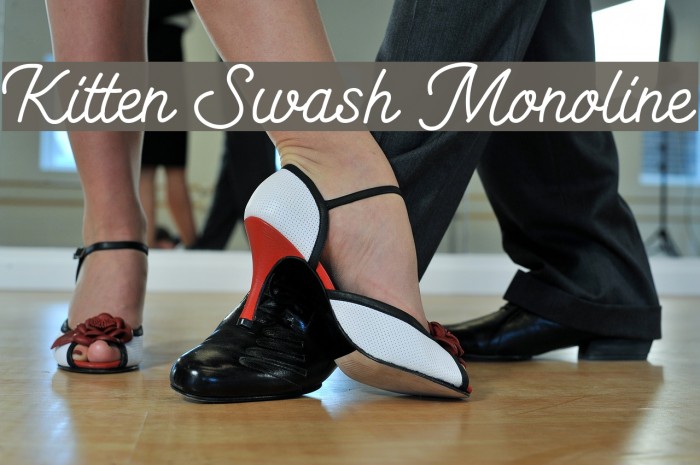 Kitten Swash Monoline Font examples