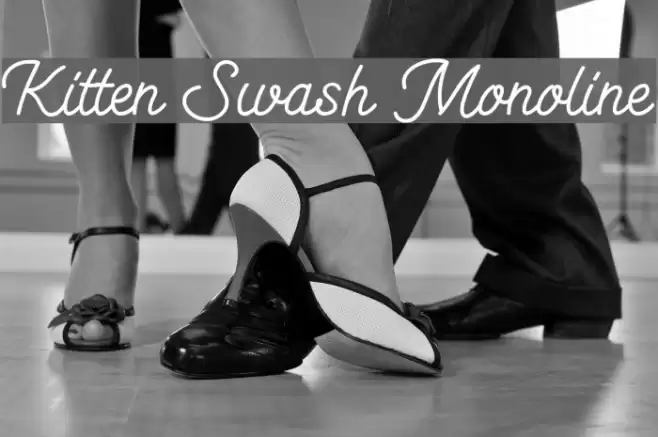 Kitten Swash Monoline Schriftart examples