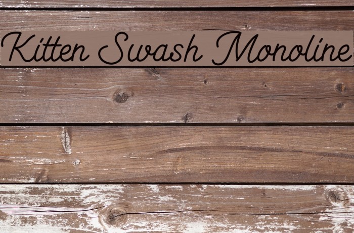 Kitten Swash Monoline Font examples