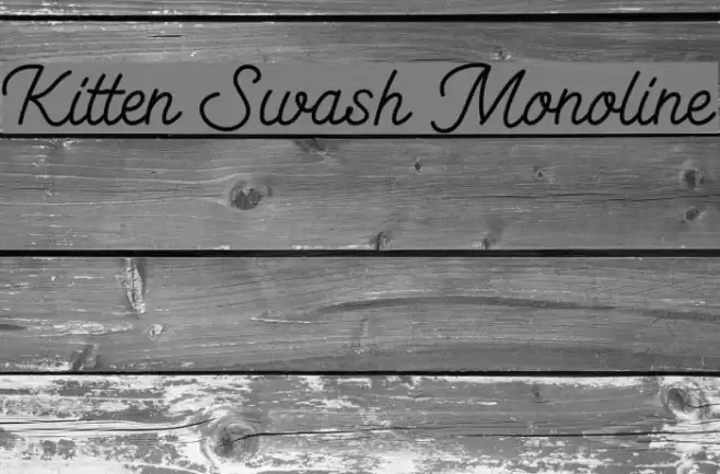 Kitten Swash Monoline Schriftart examples