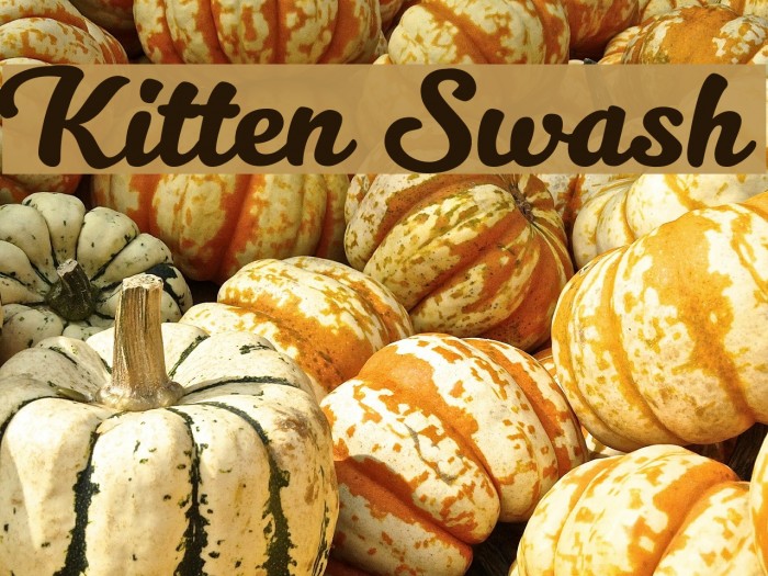 Kitten Swash Font examples