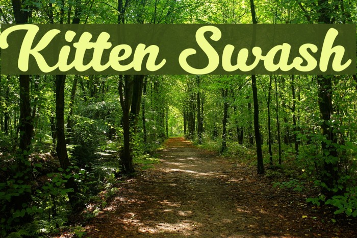 Kitten Swash Font examples