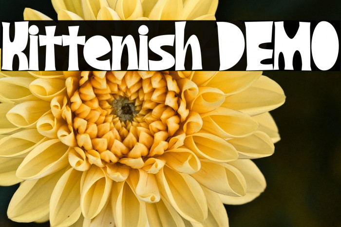 Kittenish DEMO Example 1
