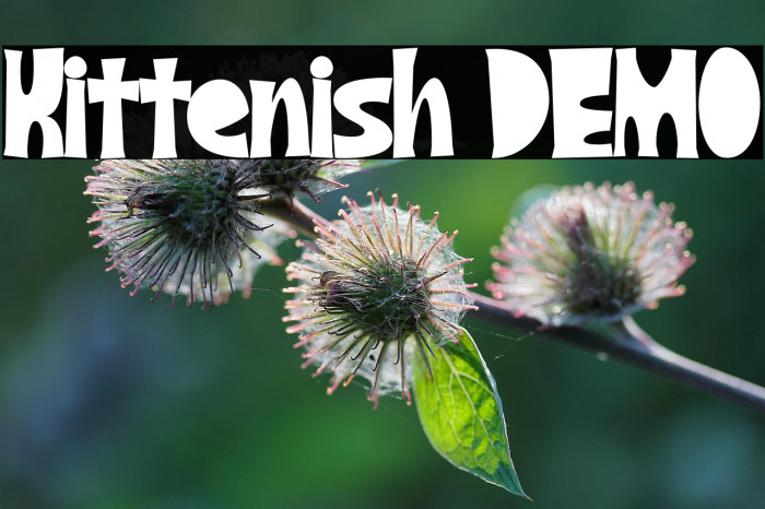 Kittenish DEMO Example 2