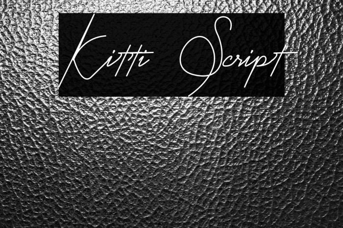 Kitti Script Example 2