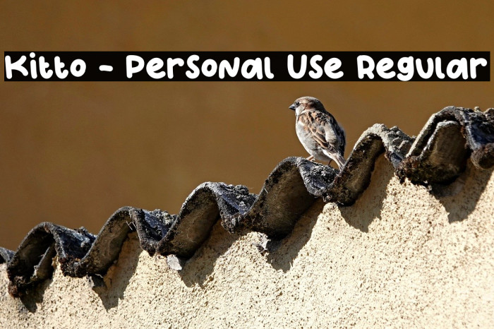 Kitto - Personal Use Regular Example 1