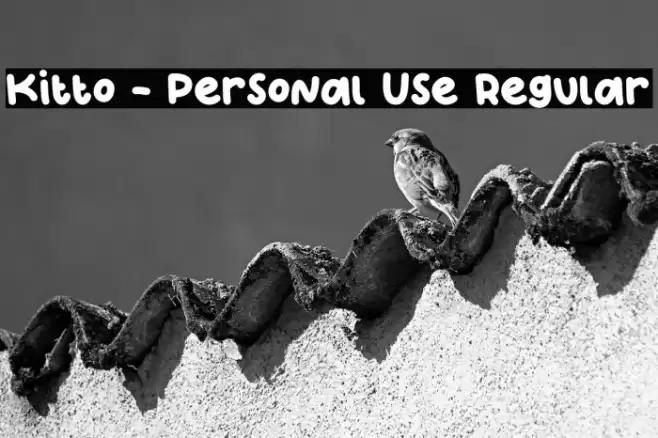 Kitto - Personal Use Regular Font examples