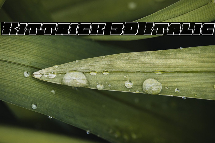 Kittrick 3D Italic Example 1