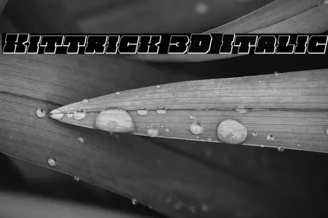 Kittrick 3D Italic Font examples
