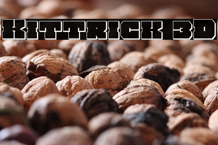 Kittrick 3D Example 3