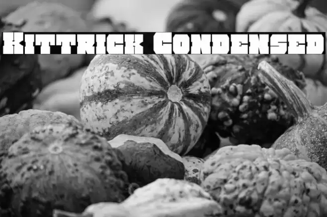 Kittrick Condensed Font examples