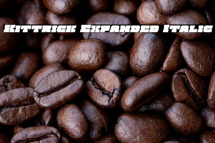 Kittrick Expanded Italic Example 2