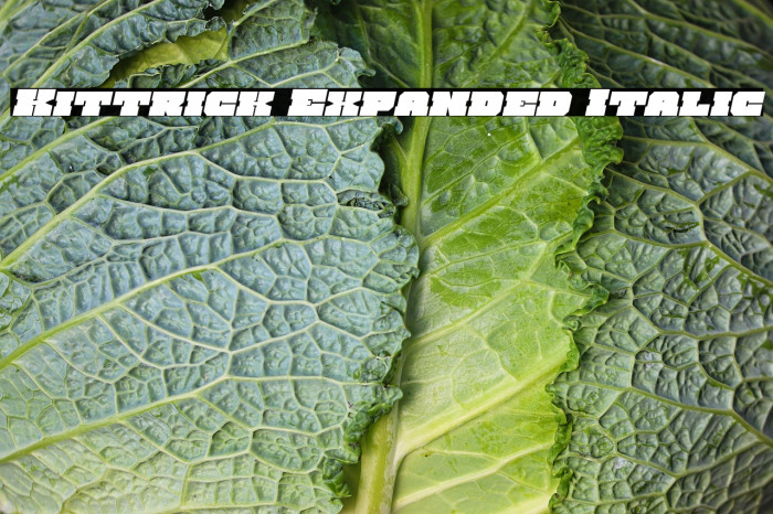 Kittrick Expanded Italic Example 3