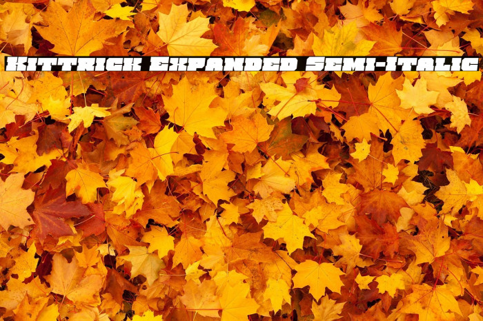 Kittrick Expanded Semi-Italic Example 3