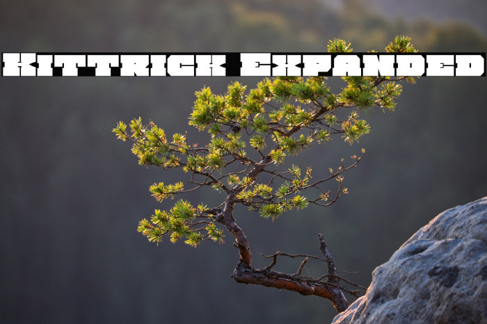 Kittrick Expanded Example 2