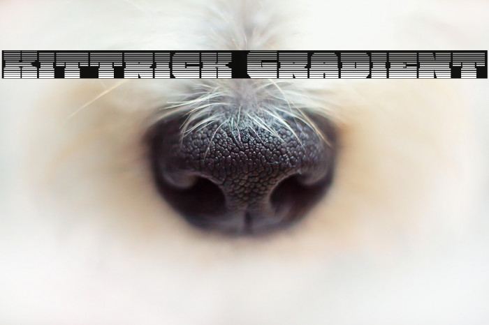 Kittrick Gradient Example 3