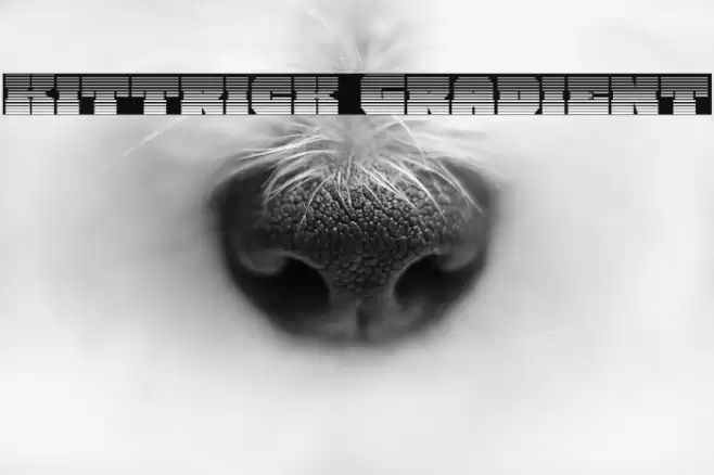 Kittrick Gradient Font examples