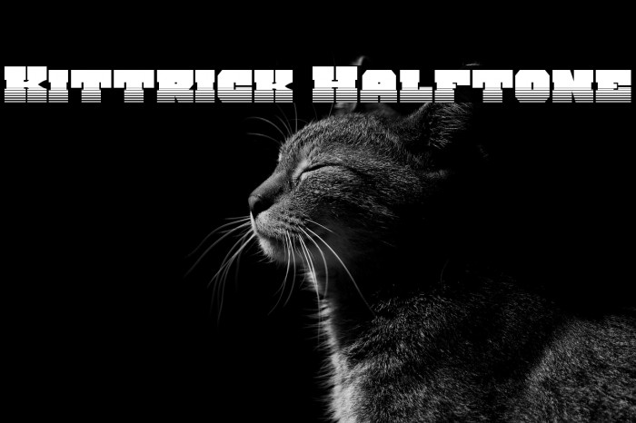 Kittrick Halftone Example 1