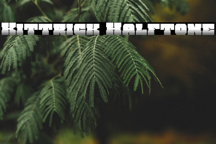 Kittrick Halftone Example 2