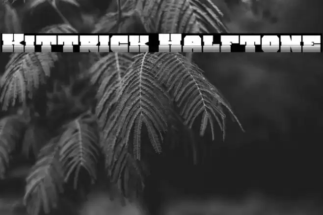 Kittrick Halftone Font examples